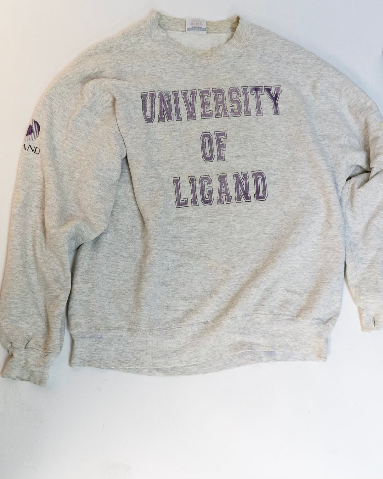 1990s “University of Ligano” Sweatshirt – Size XL